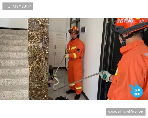 凯发官网娱乐专业的安全防护措施确保玩家个人信息和资金安全