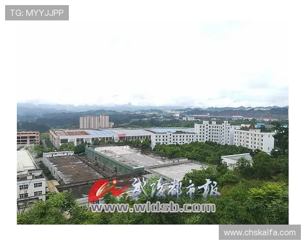 凯发旗舰厅客户端官网实现快速充值提现，提升用户资金流转效率